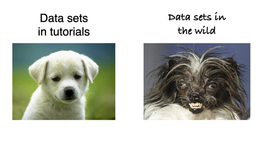 Data sets in tutorials are always cute, data sets in the wild are monstrous